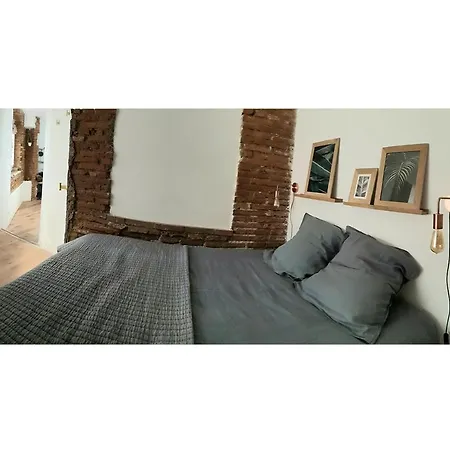 Apartment Charmant-confort-hypercentre-metro-wifi Toulouse