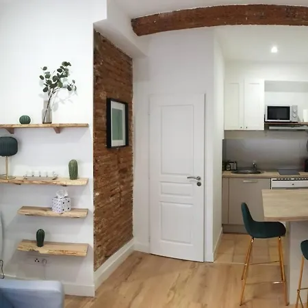 Appartement Charmant-confort-hypercentre-metro-wifi Toulouse