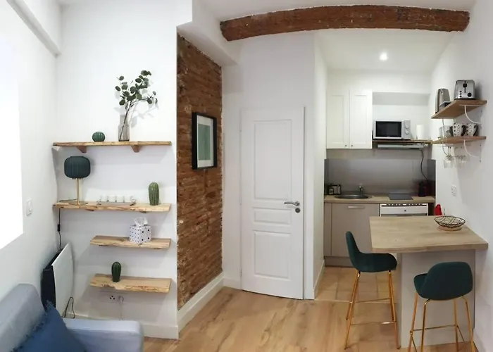 Appartement Charmant-confort-hypercentre-metro-wifi Toulouse