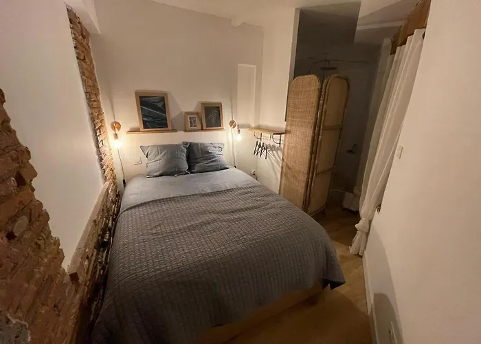 Charmant-confort-hypercentre-metro-wifi Appartement *