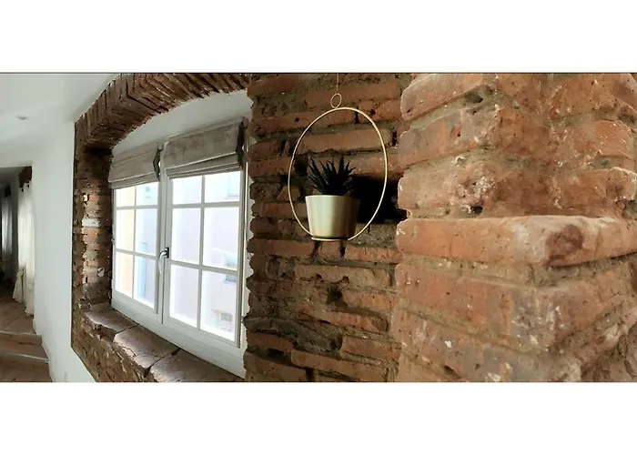 Charmant-confort-hypercentre-metro-wifi 아파트 툴루즈