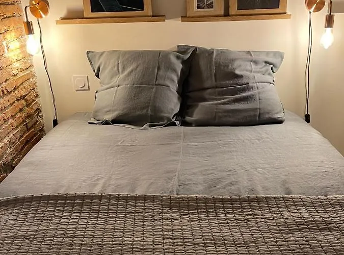 Charmant-confort-hypercentre-metro-wifi Appartement *