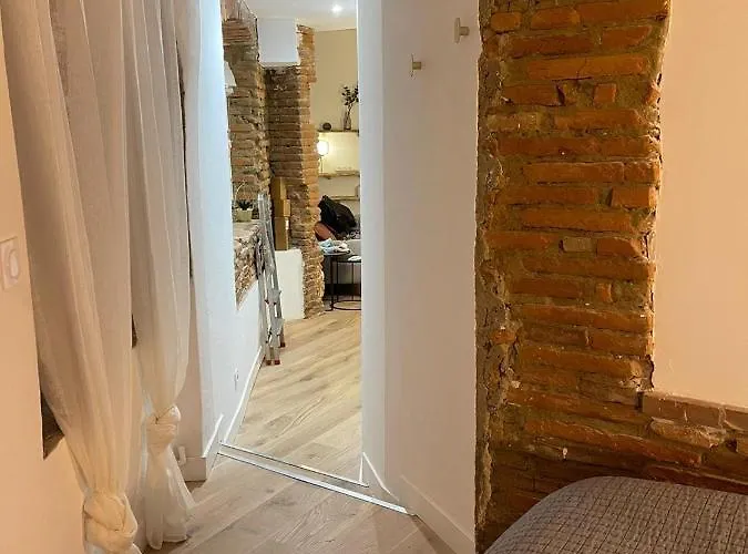 Apartment Charmant-confort-hypercentre-metro-wifi Toulouse