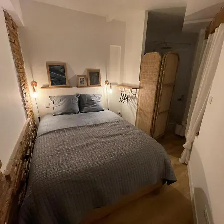 Charmant-confort-hypercentre-metro-wifi דירה *