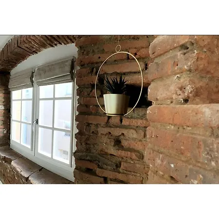 Charmant-confort-hypercentre-metro-wifi דירה טולוז