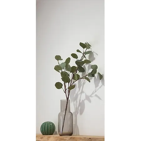 Charmant-confort-hypercentre-metro-wifi דירה טולוז