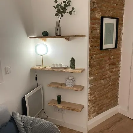 Charmant-confort-hypercentre-metro-wifi טולוז