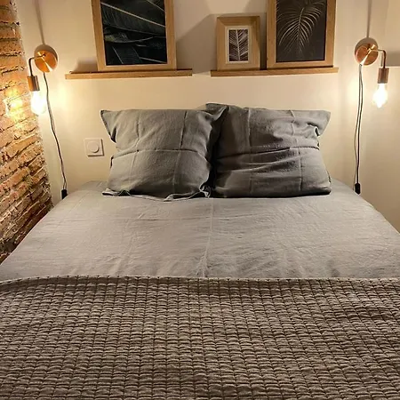 Charmant-confort-hypercentre-metro-wifi דירה *