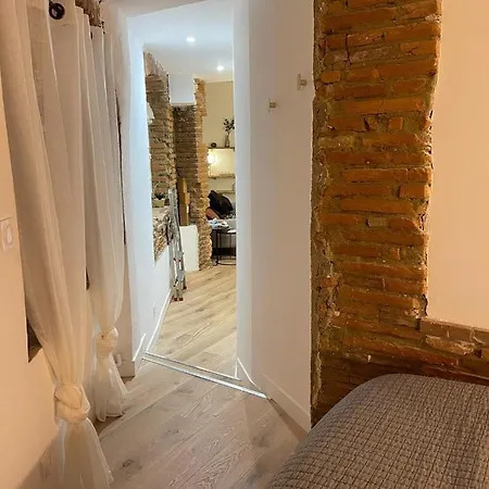 דירה Charmant-confort-hypercentre-metro-wifi טולוז