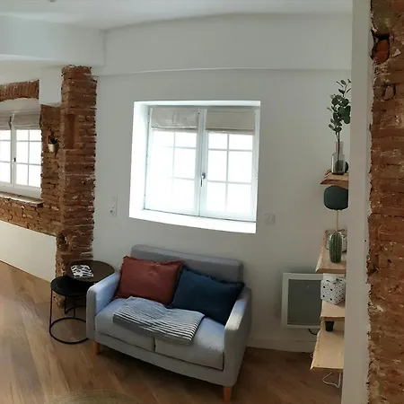 Charmant-confort-hypercentre-metro-wifi Apartamento Toulouse