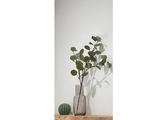 Charmant-confort-hypercentre-metro-wifi Apartament Tuluza