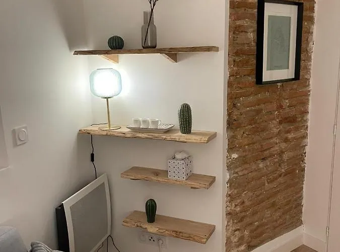 Charmant-confort-hypercentre-metro-wifi Tuluza